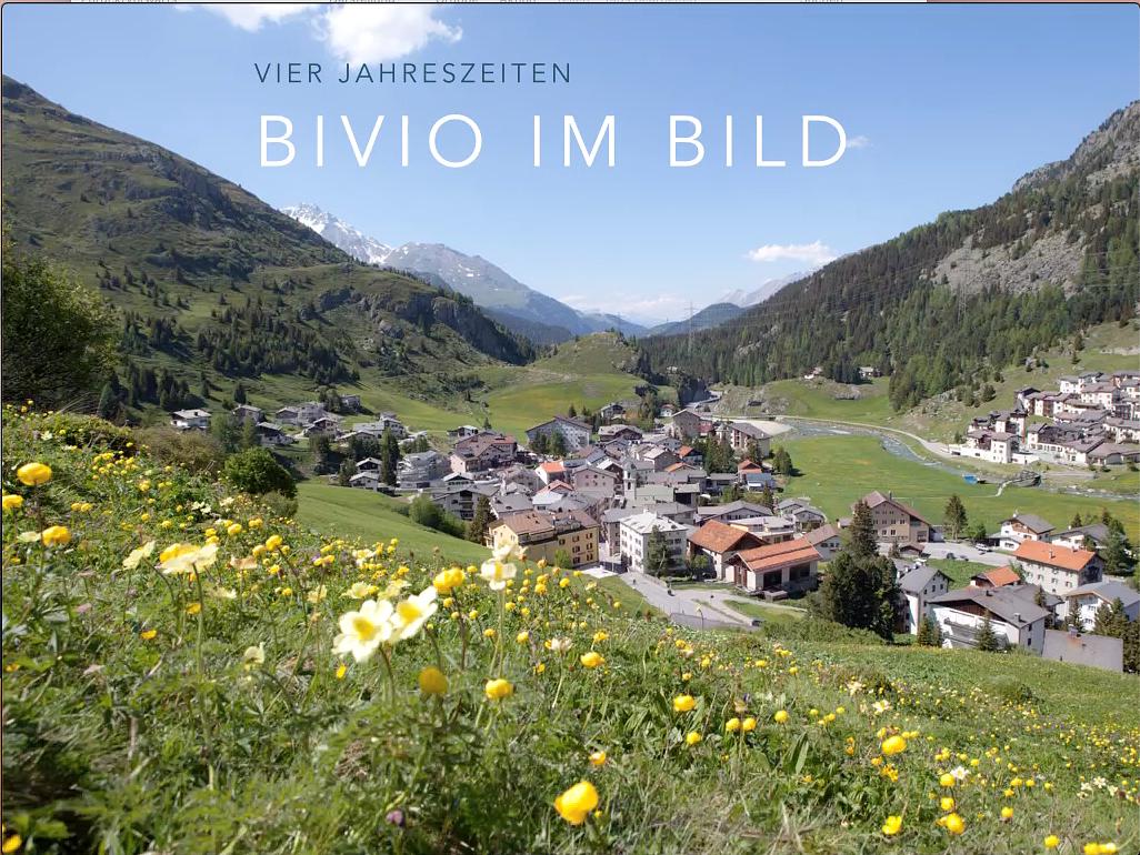 Collagebild 1