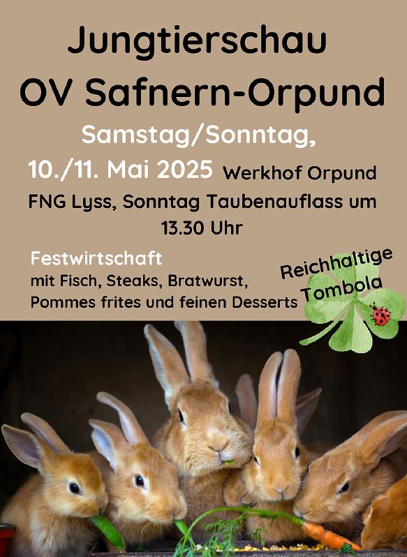 Bild im Zusammenhang mit dem Beitrag