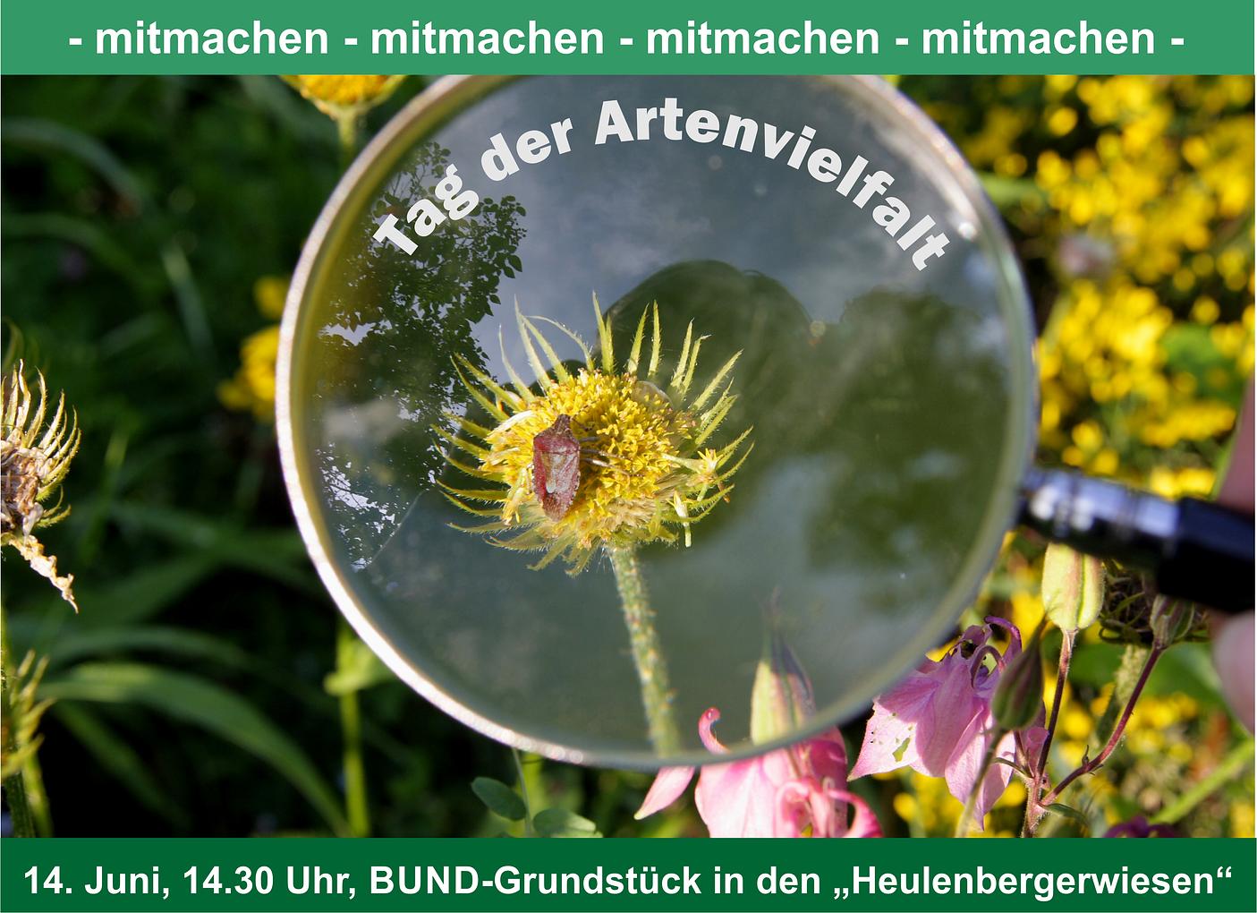 Bild im Zusammenhang mit dem Beitrag