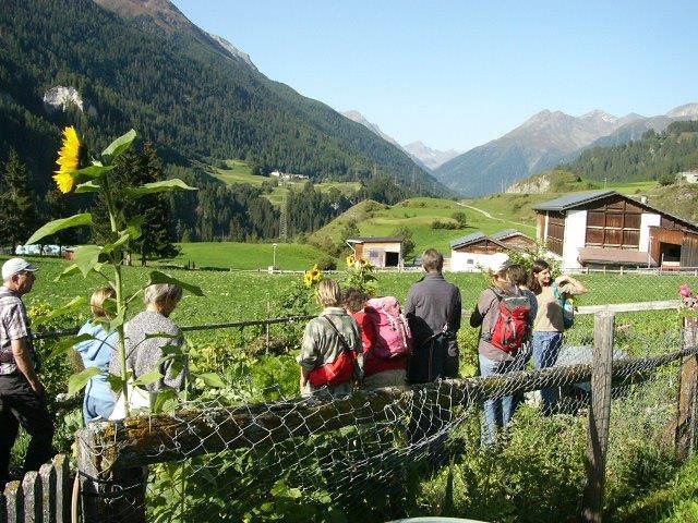 Collagebild 1
