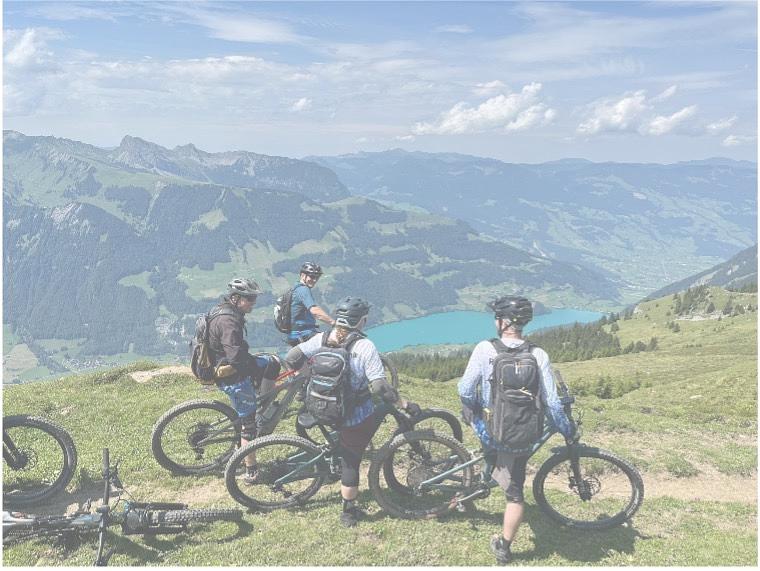 Bild im Zusammenhang mit dem Beitrag