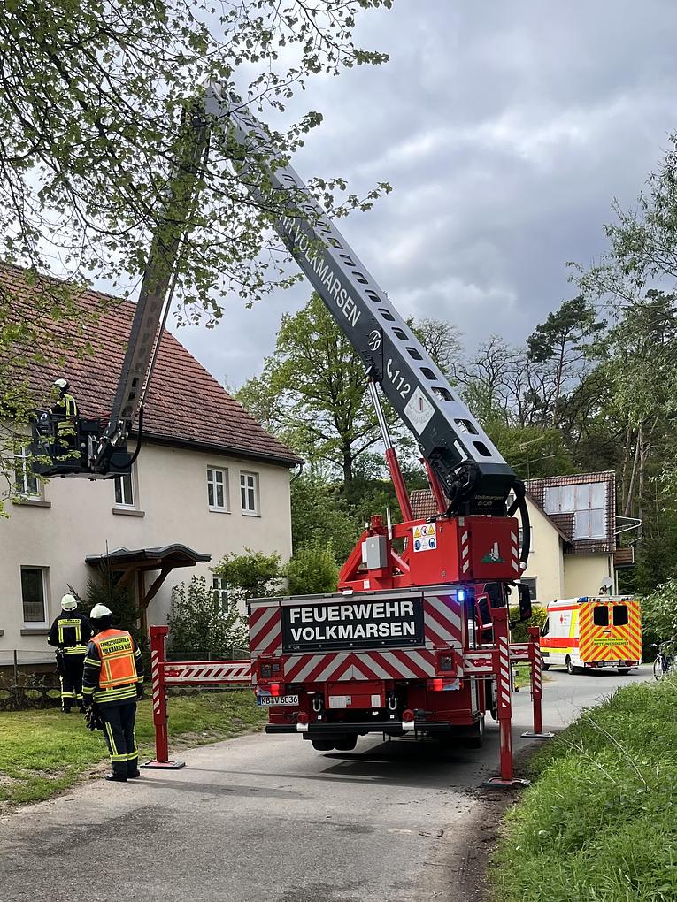 Bild im Zusammenhang mit dem Beitrag