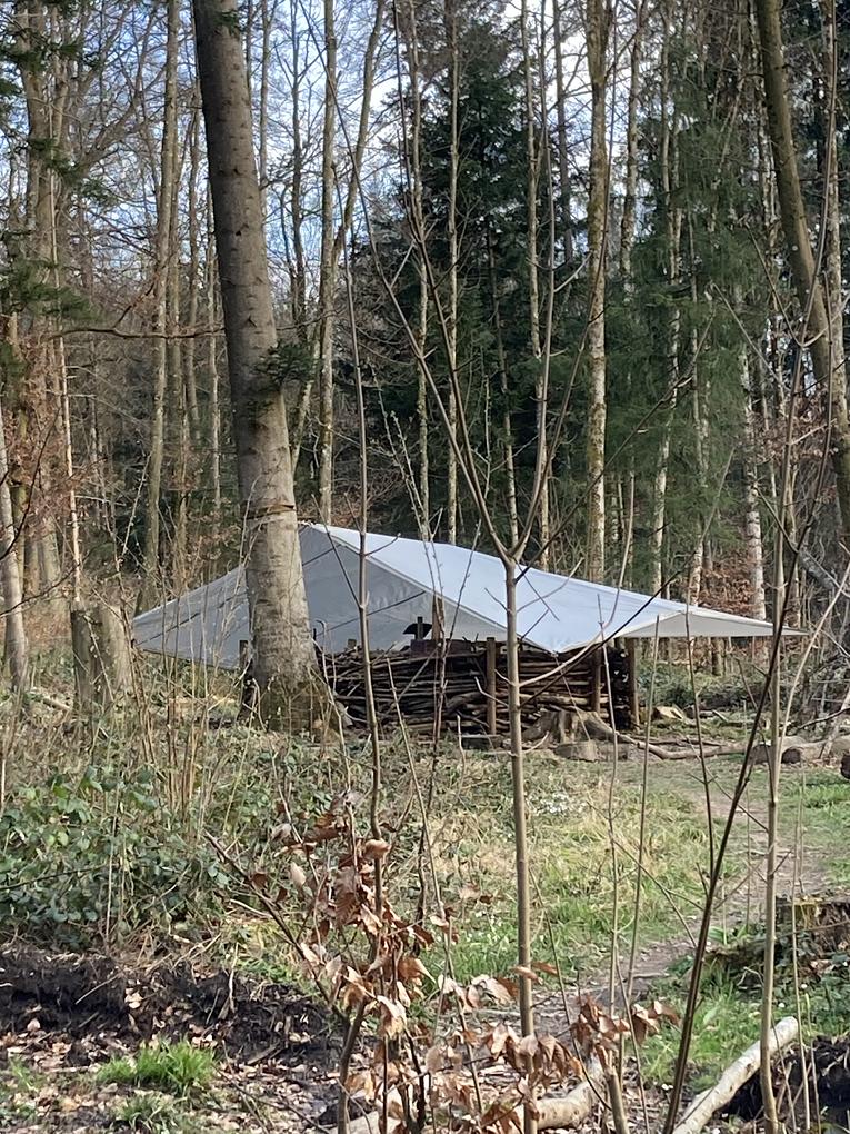 Bild im Zusammenhang mit dem Beitrag
