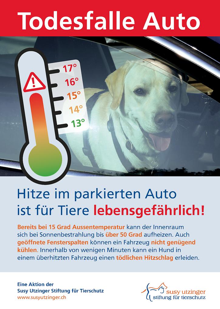 Bild im Zusammenhang mit dem Beitrag