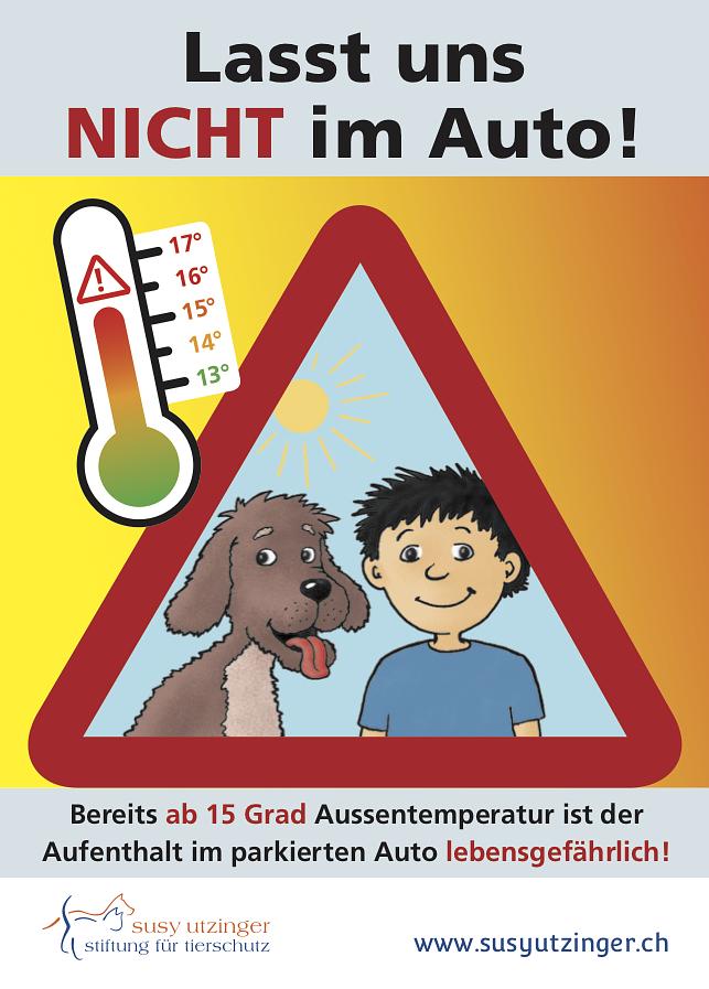 Bild im Zusammenhang mit dem Beitrag