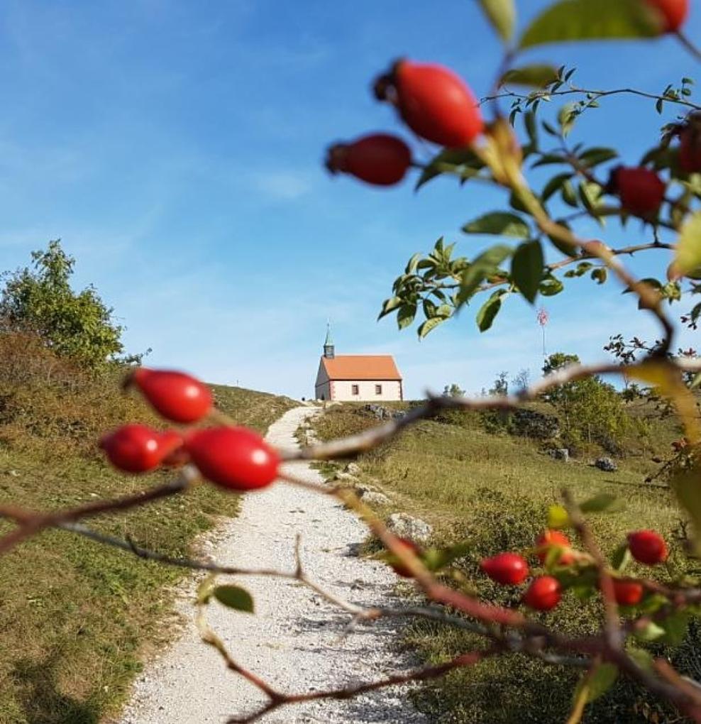 Bild im Zusammenhang mit dem Beitrag