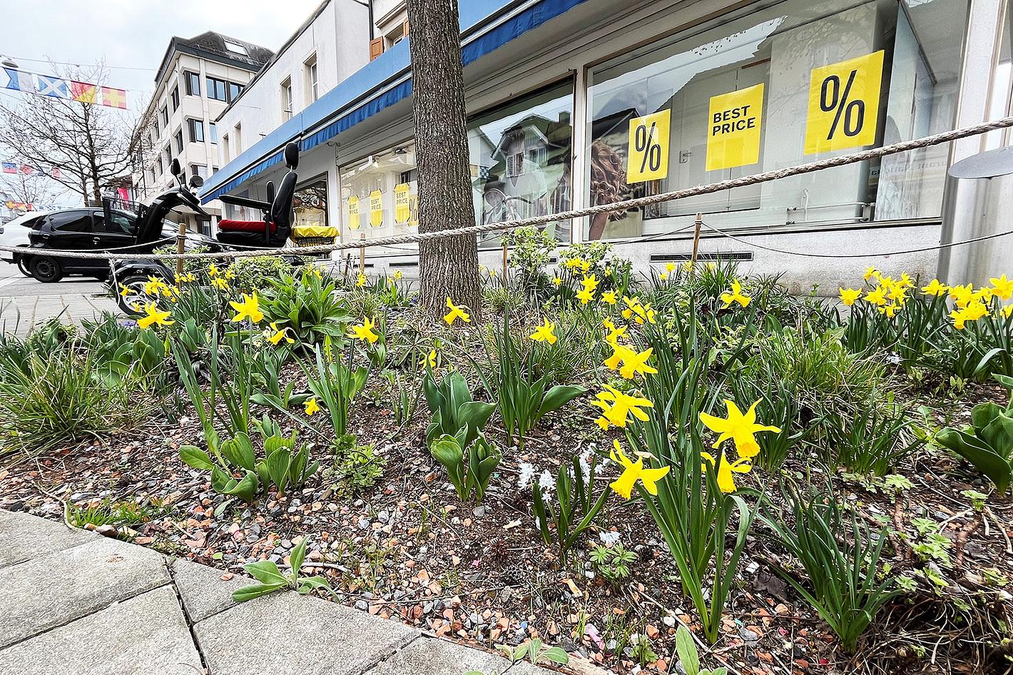 Bild im Zusammenhang mit dem Beitrag