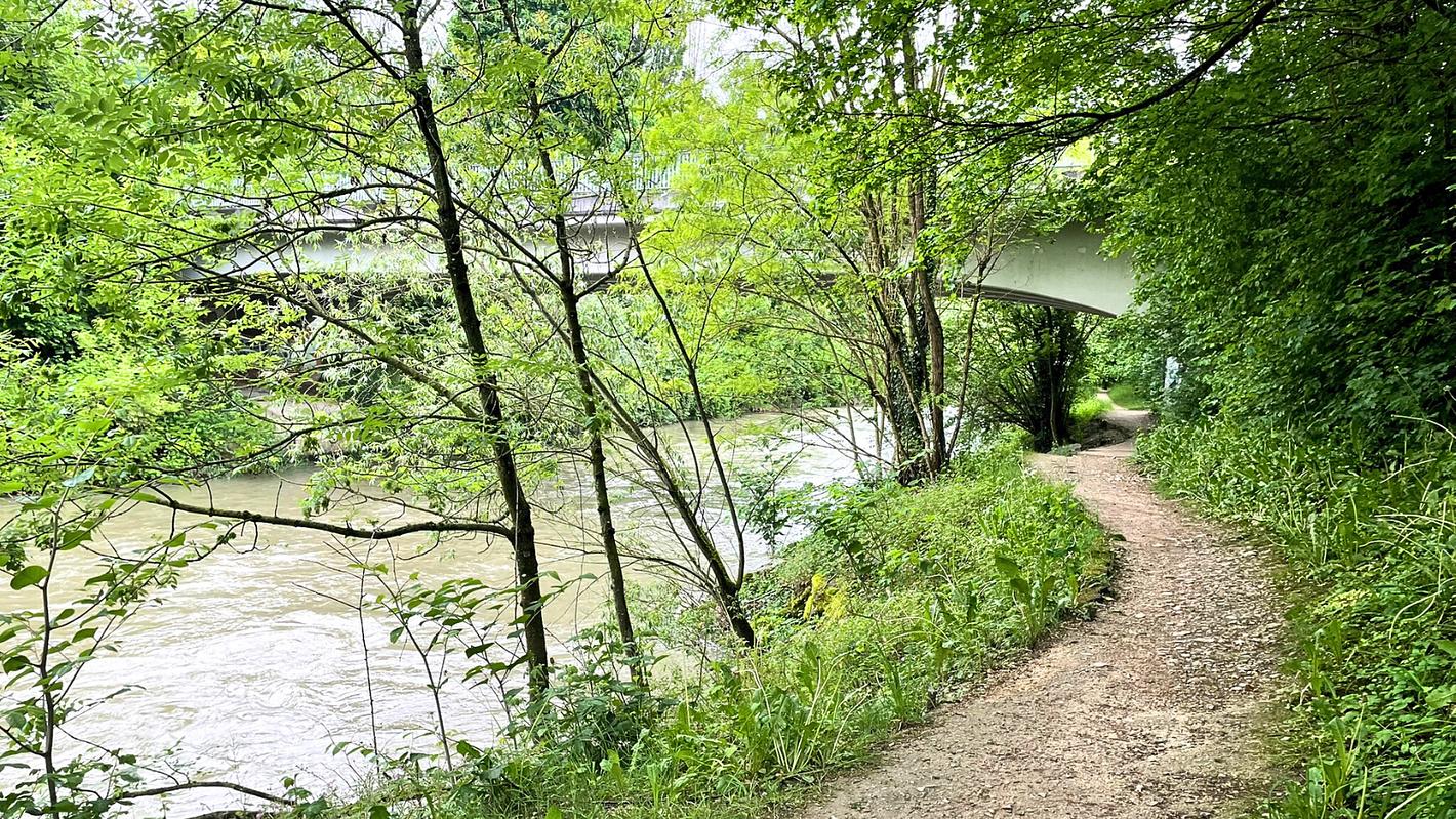 Bild im Zusammenhang mit dem Beitrag