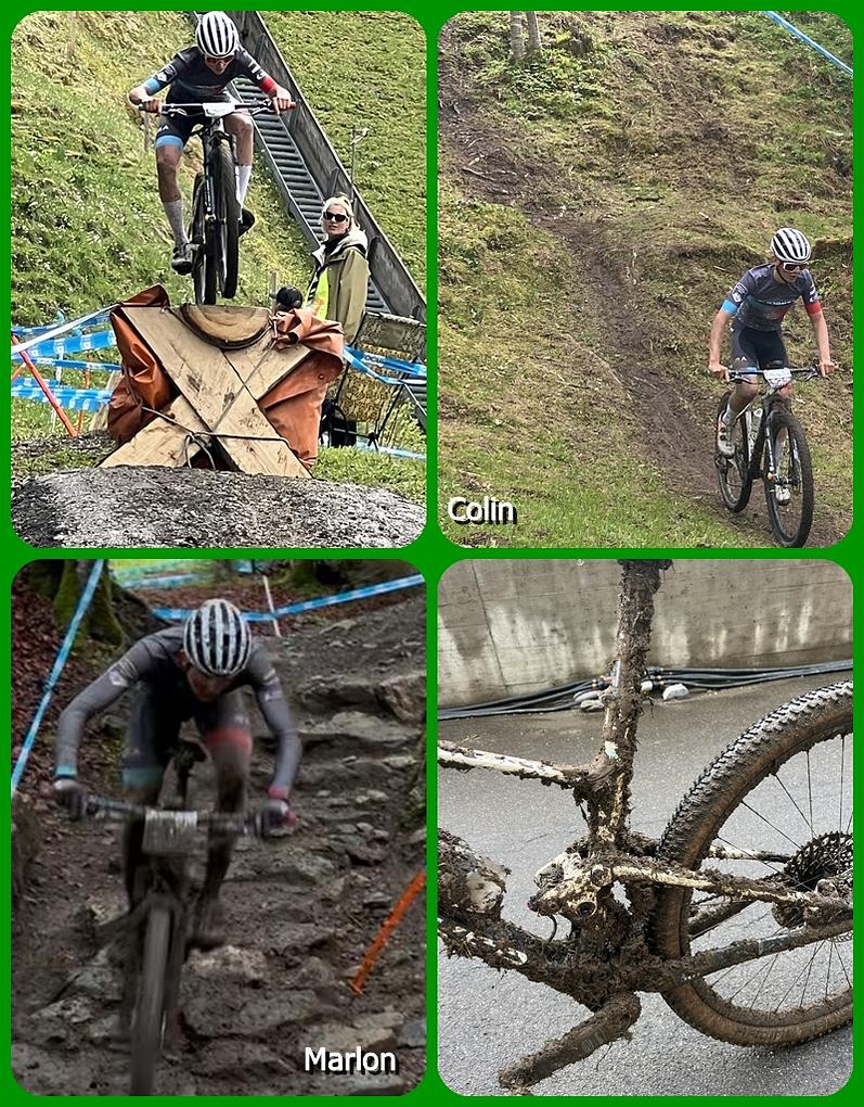 Collagebild 1