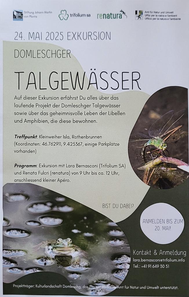 Bild im Zusammenhang mit dem Beitrag