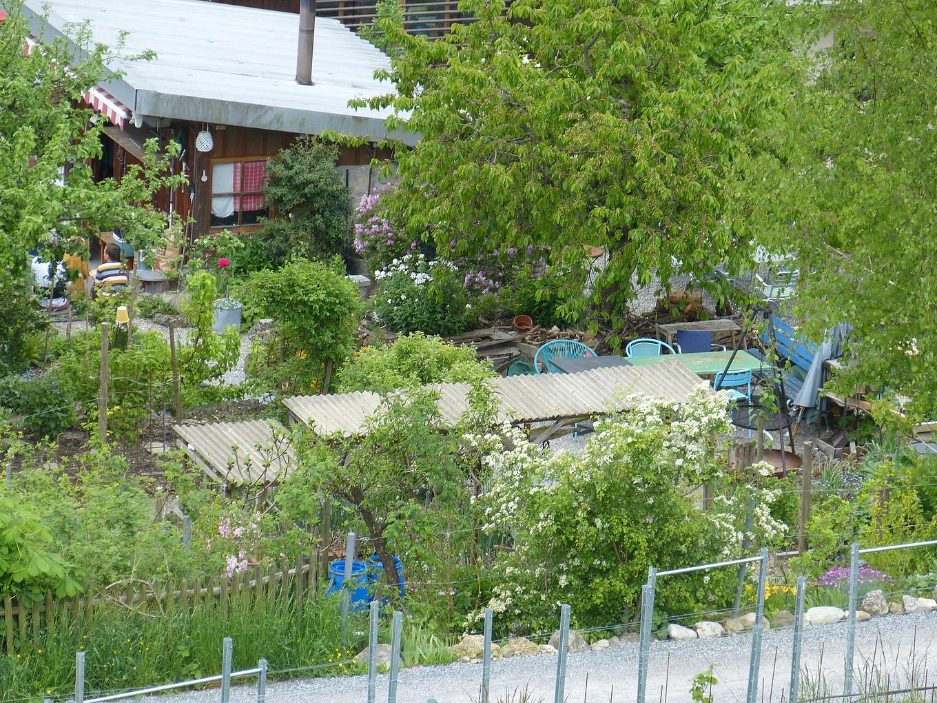 Bild im Zusammenhang mit dem Beitrag