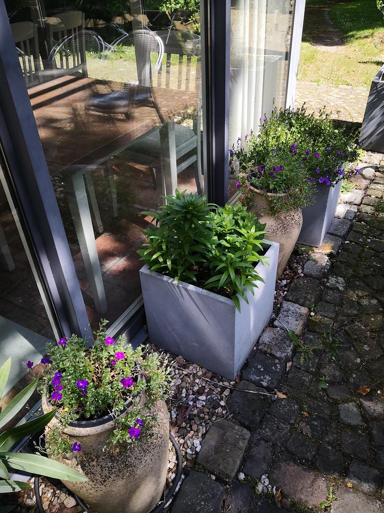 Bild im Zusammenhang mit dem Beitrag