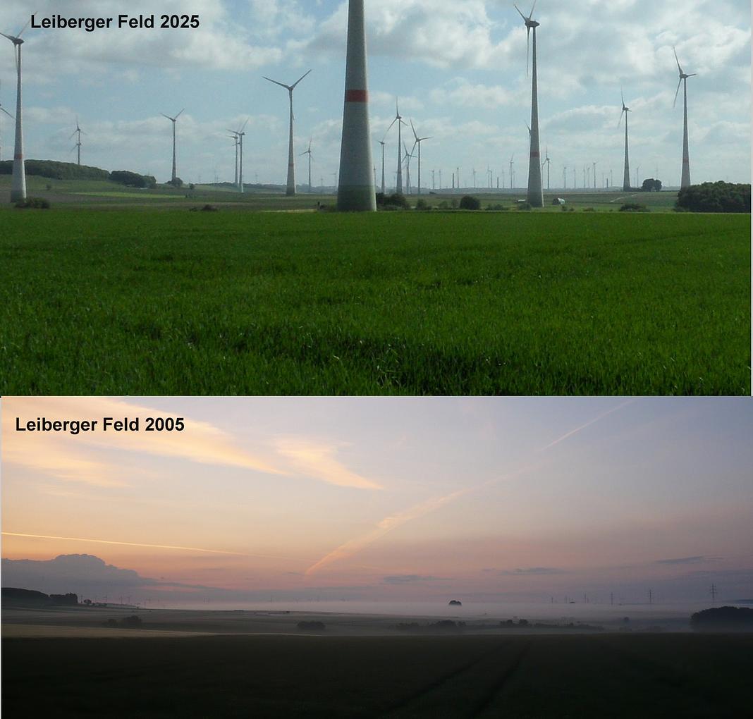 Collagebild 2