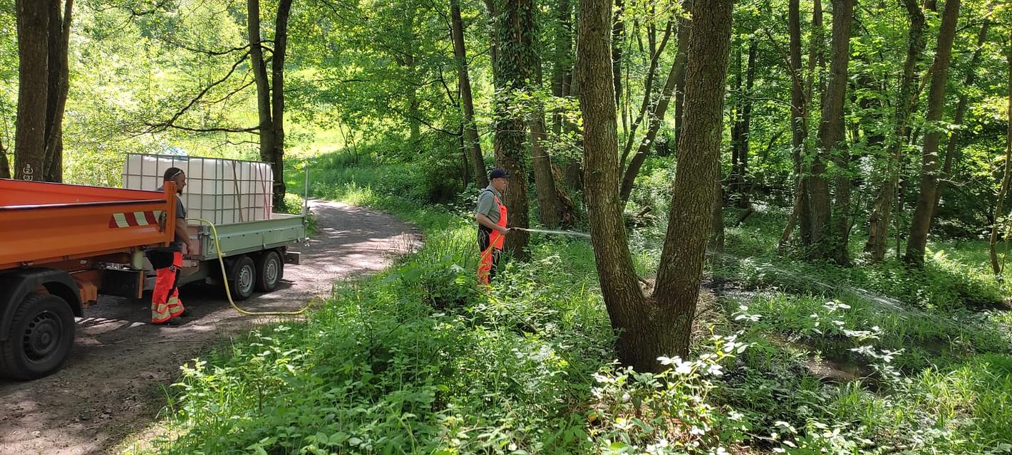 Bild im Zusammenhang mit dem Beitrag