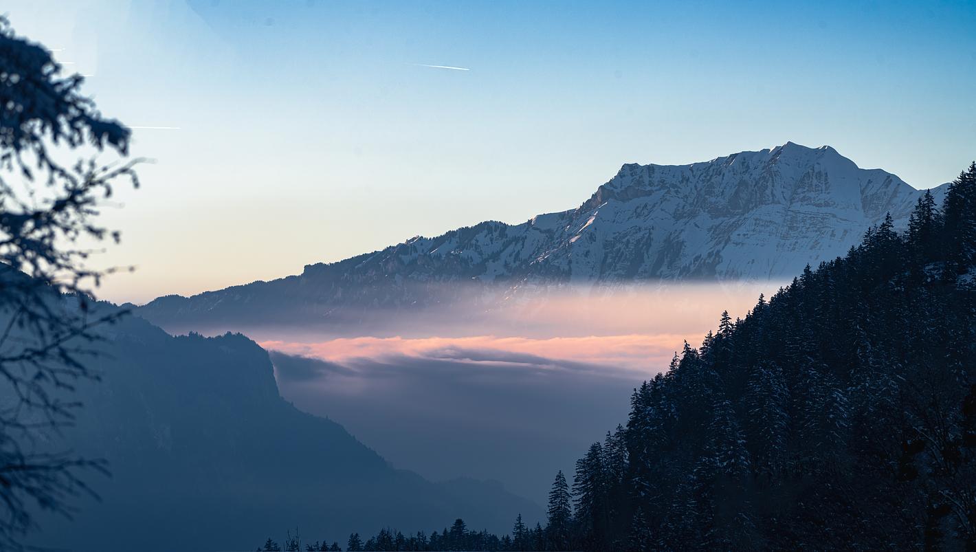 Bild im Zusammenhang mit dem Beitrag