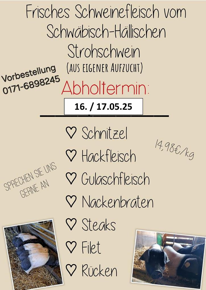 Bild im Zusammenhang mit dem Beitrag