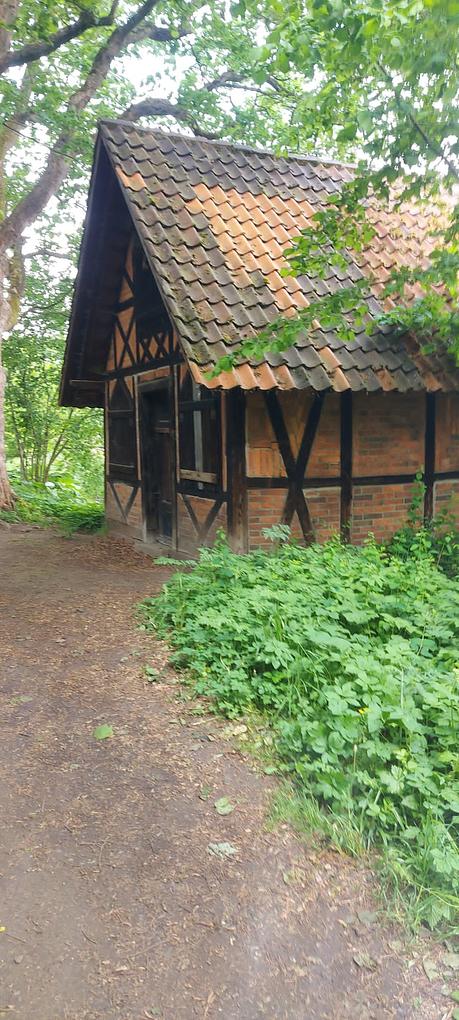 Bild im Zusammenhang mit dem Beitrag