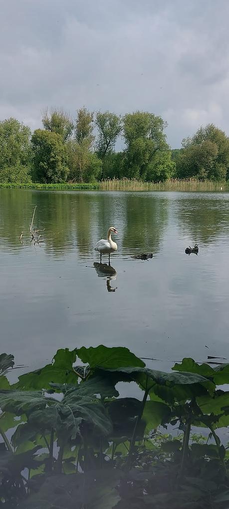 Bild im Zusammenhang mit dem Beitrag