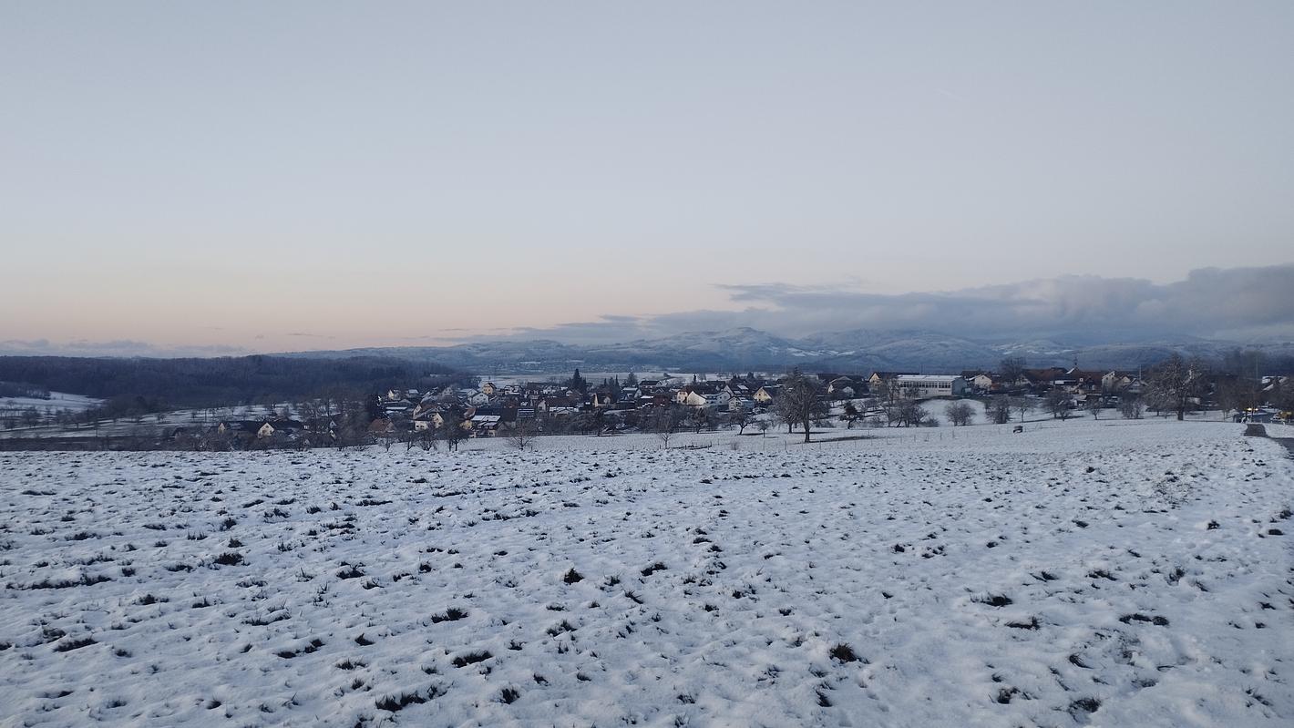 Bild im Zusammenhang mit dem Beitrag
