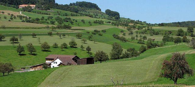 Bild im Zusammenhang mit dem Beitrag
