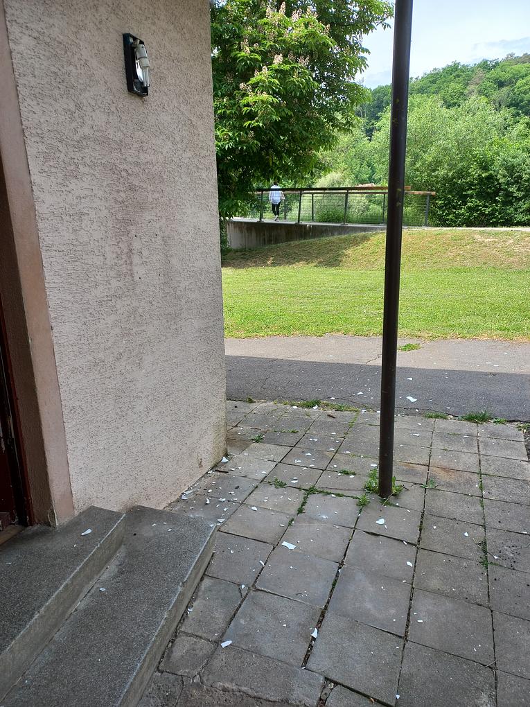 Bild im Zusammenhang mit dem Beitrag