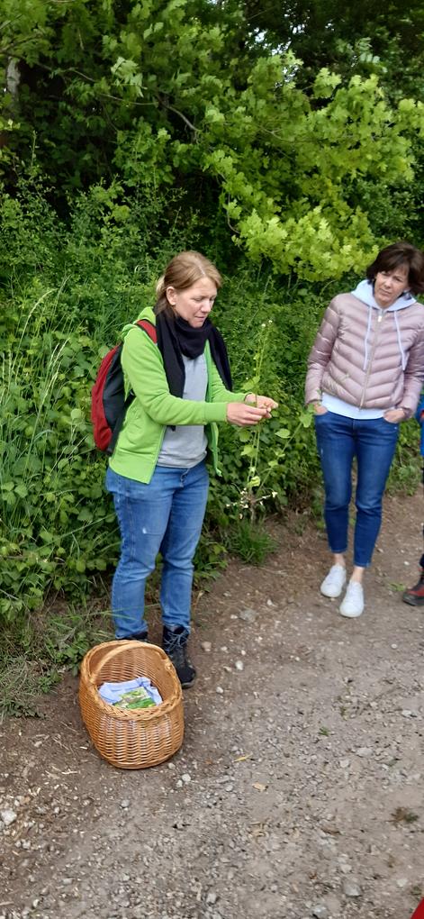 Bild im Zusammenhang mit dem Beitrag