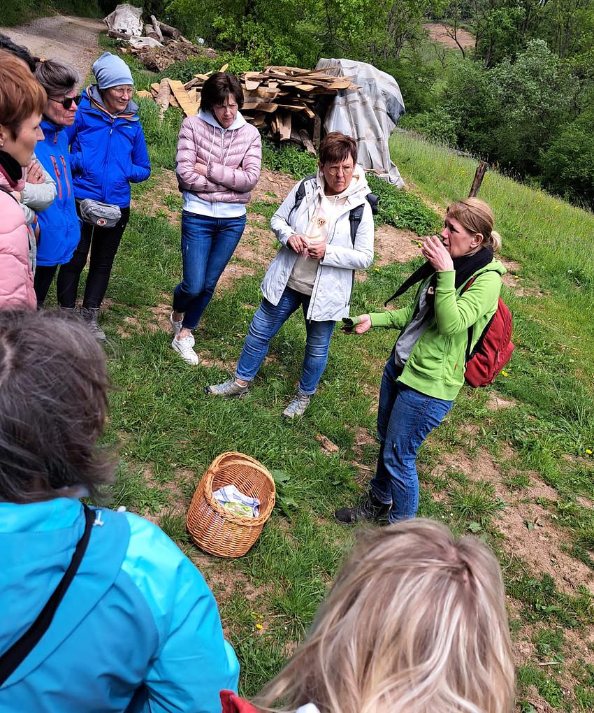 Bild im Zusammenhang mit dem Beitrag