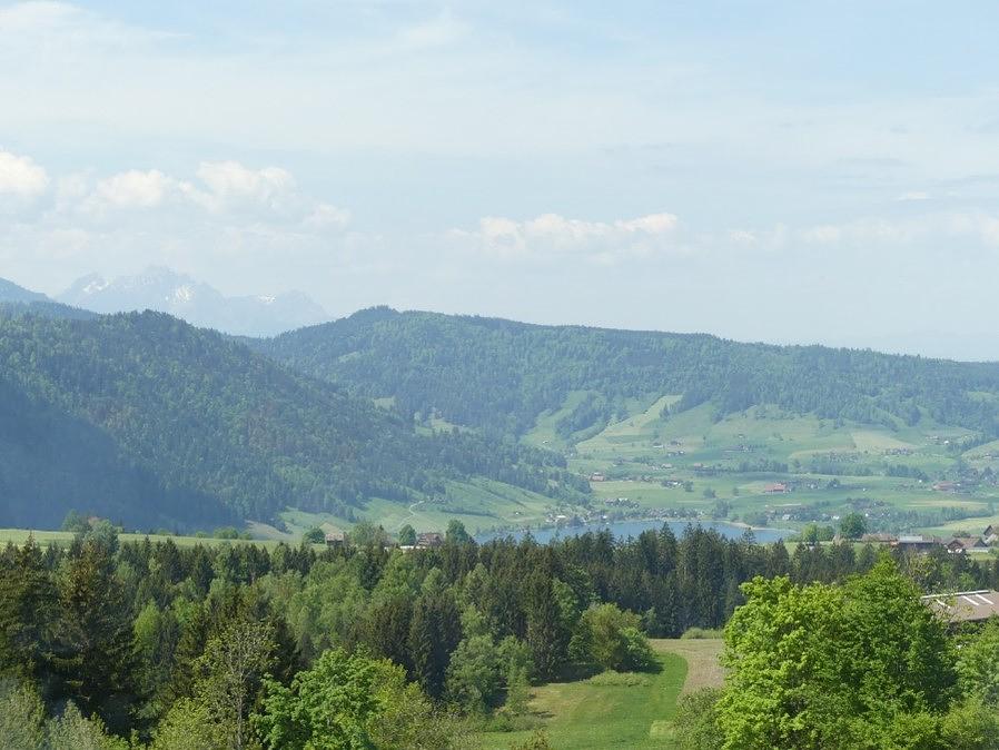 Bild im Zusammenhang mit dem Beitrag