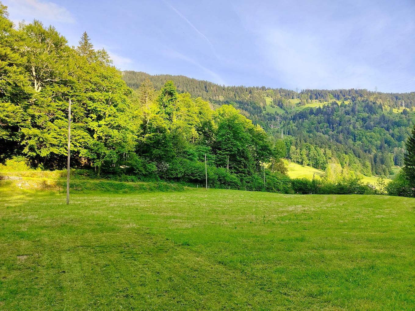Bild im Zusammenhang mit dem Beitrag