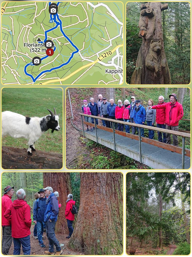 Collagebild 1