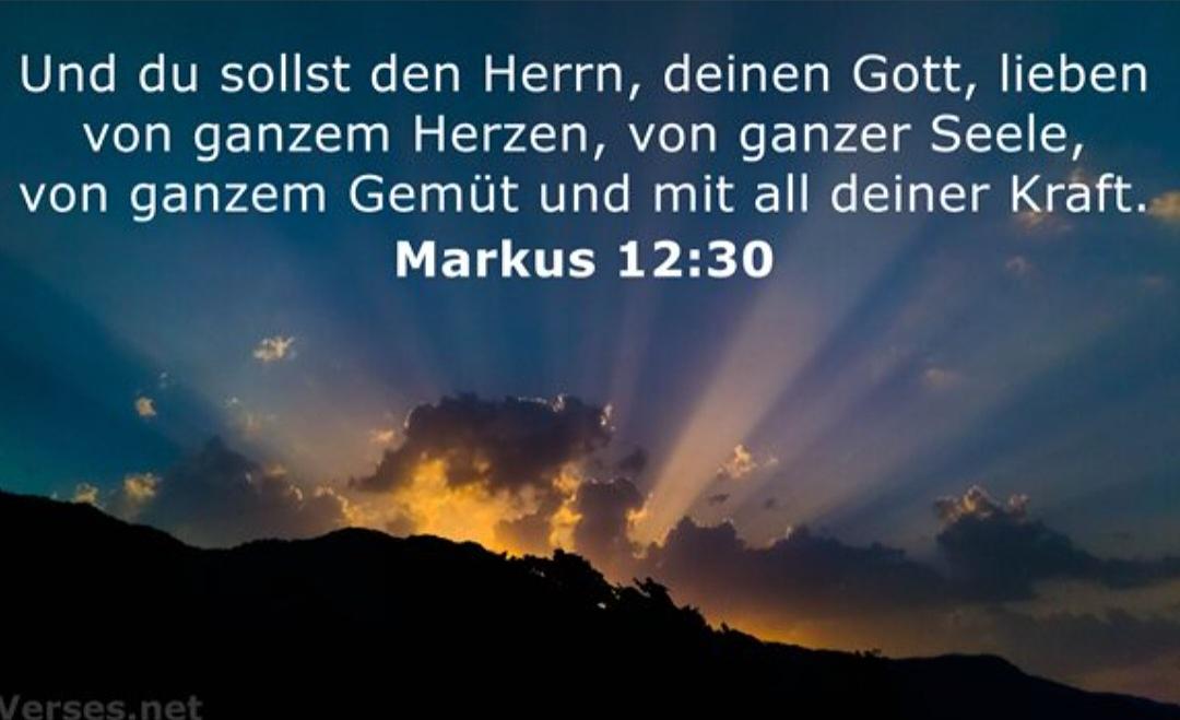 Bild im Zusammenhang mit dem Beitrag