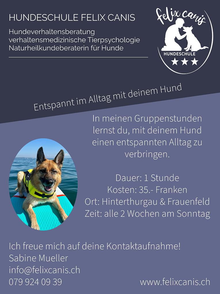 Bild im Zusammenhang mit dem Beitrag