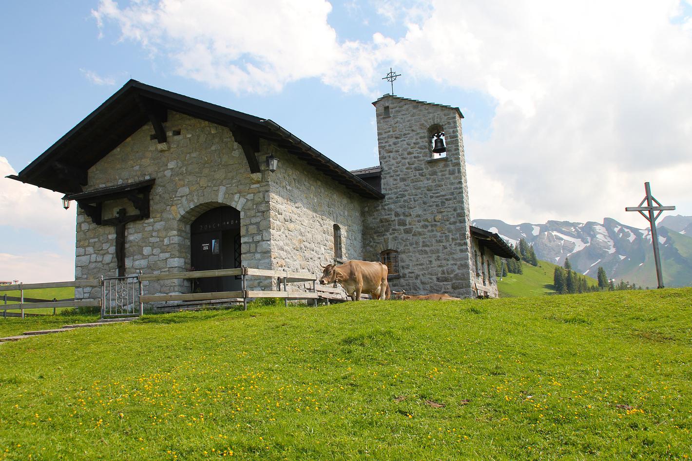Collagebild 1
