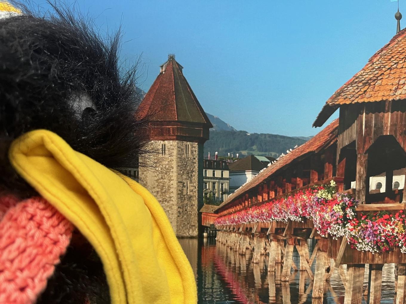 Bild im Zusammenhang mit dem Beitrag