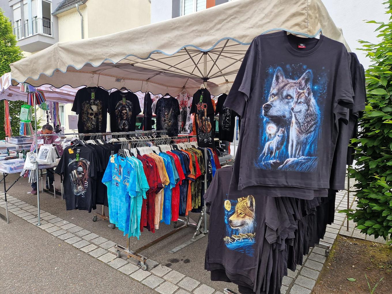 Bild im Zusammenhang mit dem Beitrag