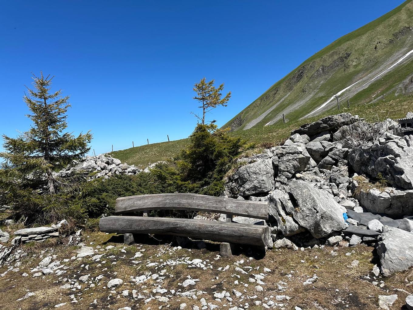 Bild im Zusammenhang mit dem Beitrag