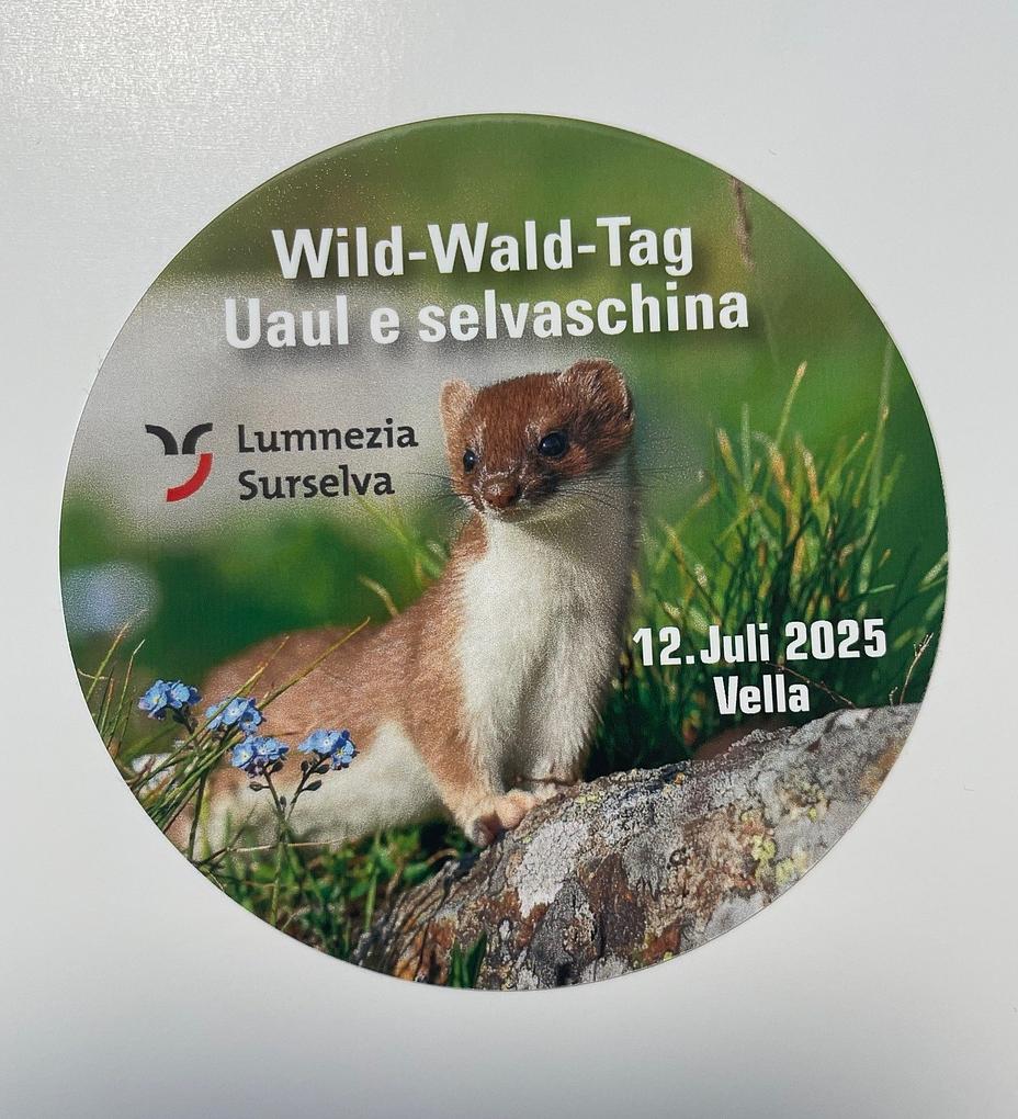 Bild im Zusammenhang mit dem Beitrag