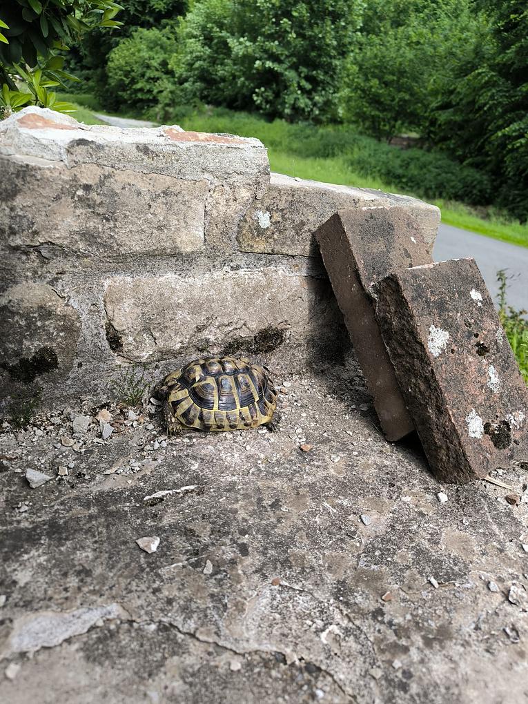 Bild im Zusammenhang mit dem Beitrag