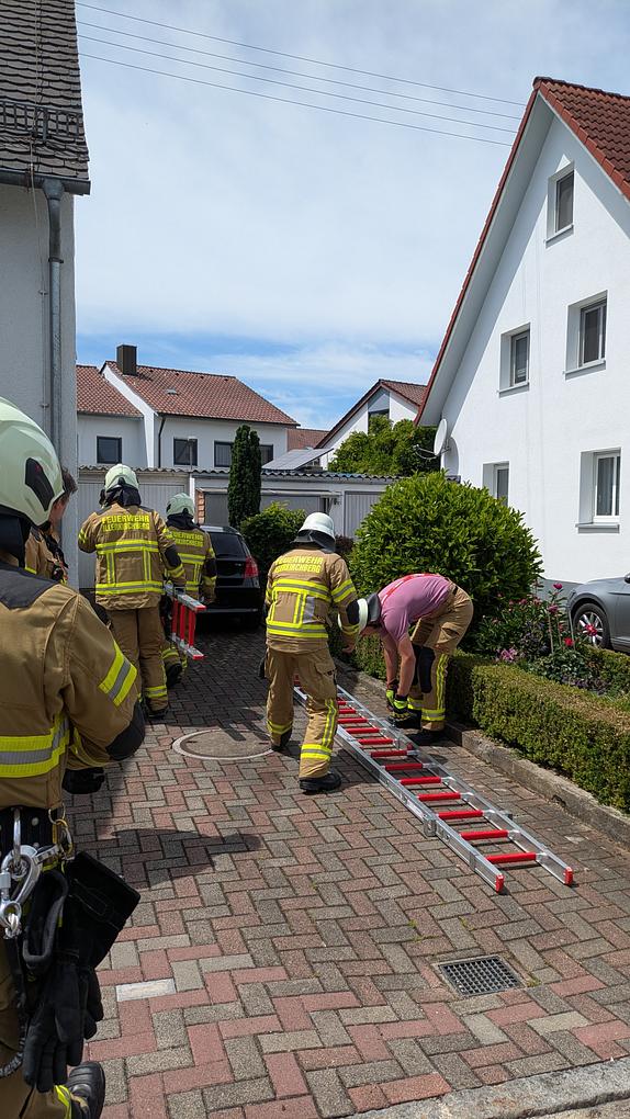 Bild im Zusammenhang mit dem Beitrag