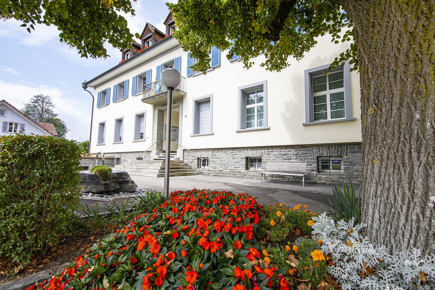 Bild im Zusammenhang mit dem Beitrag