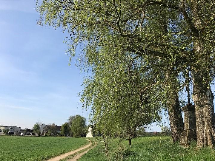 Collagebild 2