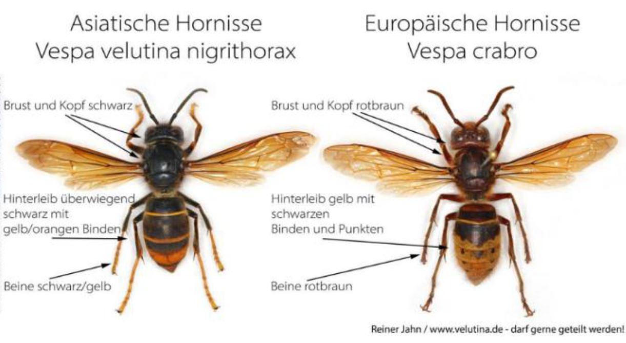 Bild im Zusammenhang mit dem Beitrag