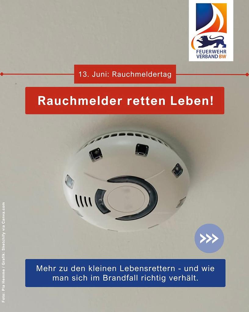 Bild im Zusammenhang mit dem Beitrag