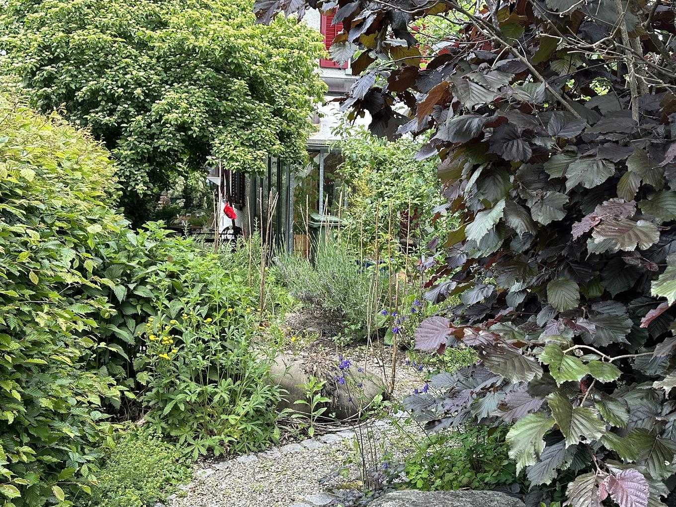 Bild im Zusammenhang mit dem Beitrag