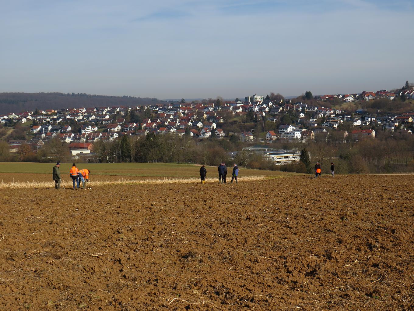 Collagebild 1