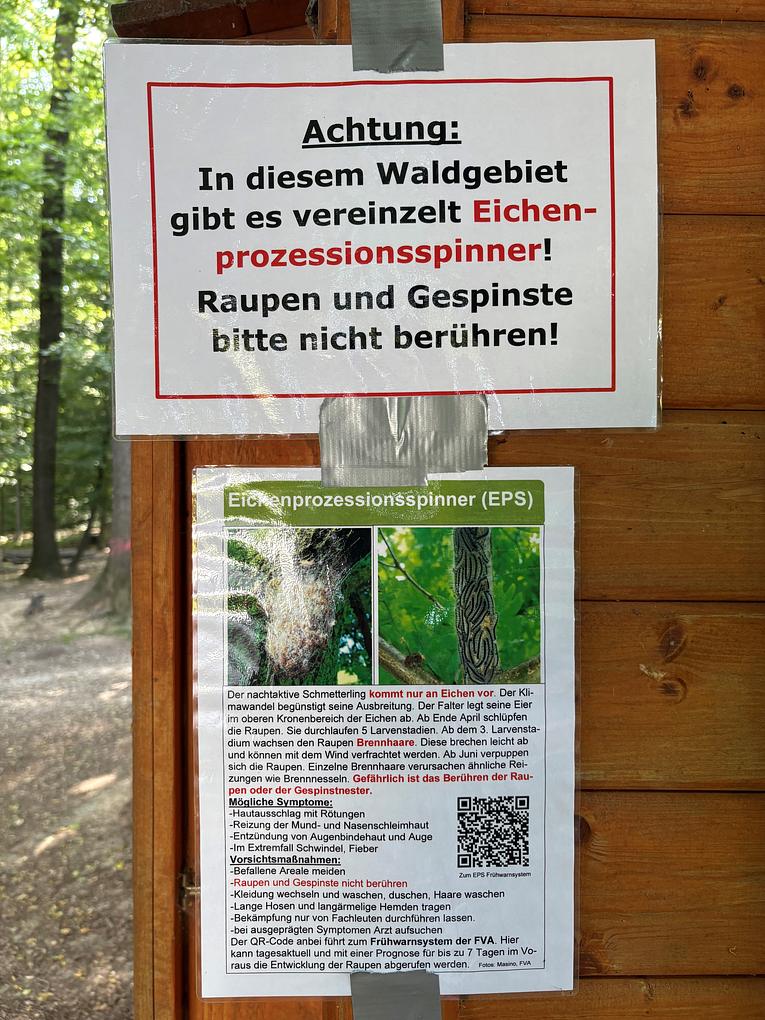 Bild im Zusammenhang mit dem Beitrag
