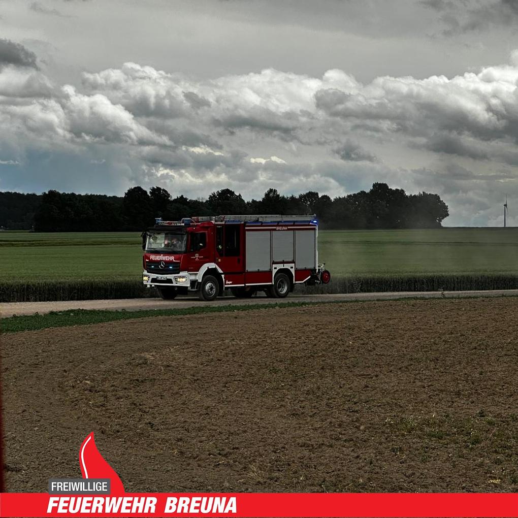 Bild im Zusammenhang mit dem Beitrag