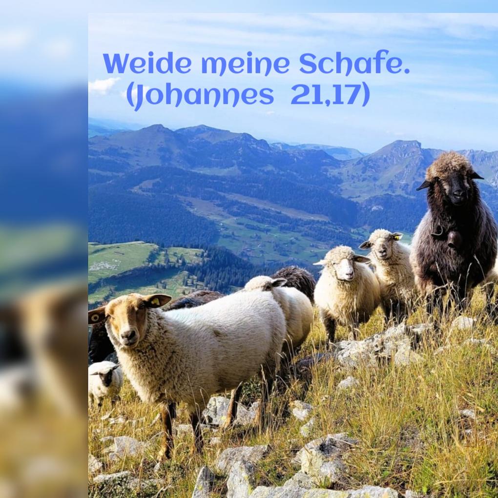 Collagebild 1