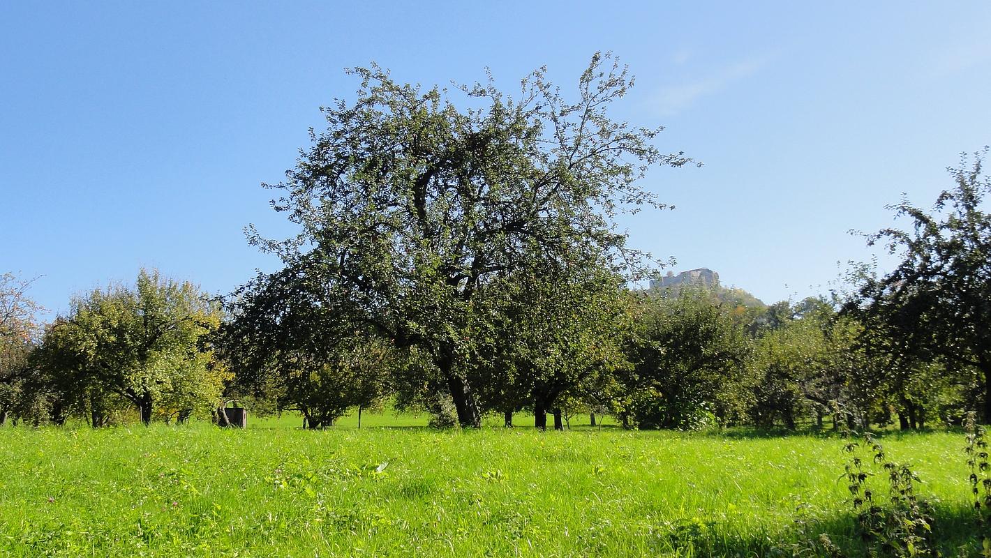 Image de collage 1