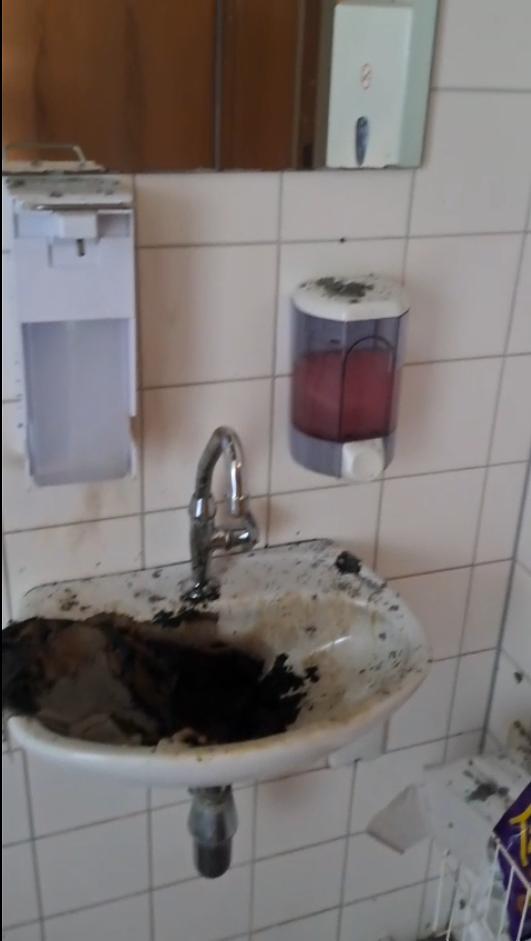 Bild im Zusammenhang mit dem Beitrag